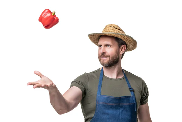 Man Met Schort Hoed Met Paprika Groente Geïsoleerd Wit Natuurlijk — Stockfoto