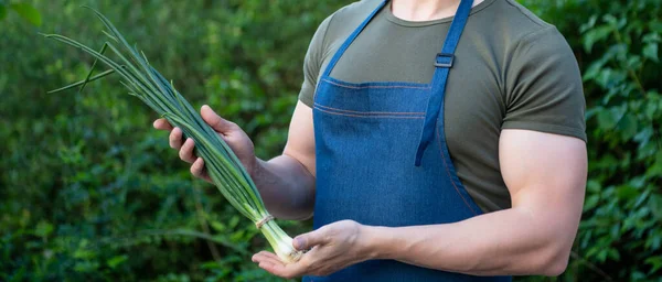 Abgeschnittene Ansicht Des Mannes Gemüsehändler Mit Grünem Zwiebelgemüse — Stockfoto