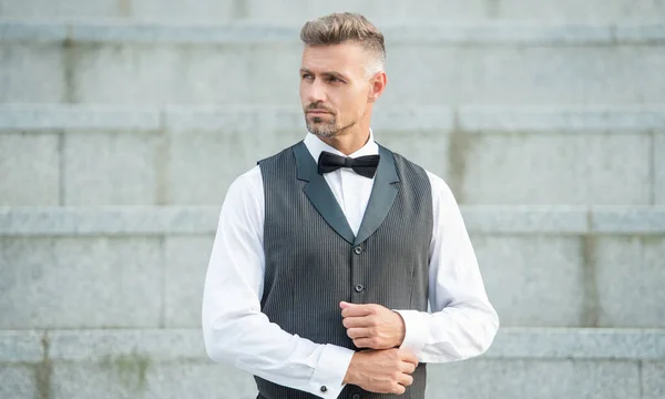 Elegant Businessman Bowtie Adult Businessman Formalwear Businessman Suit — Stock Photo, Image