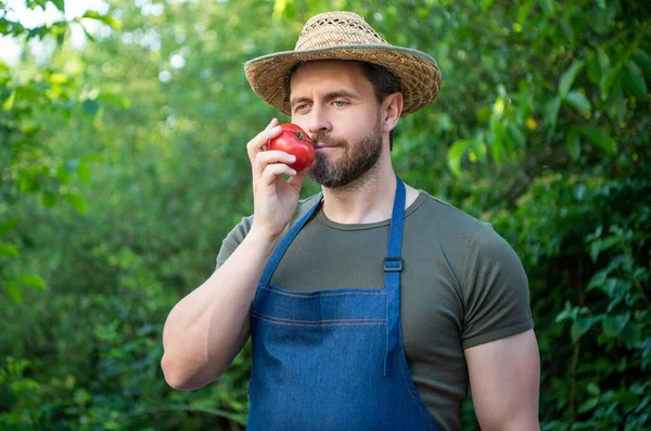 Mann Gemüsehändler Mit Strohhut Riecht Tomatengemüse — Stockfoto