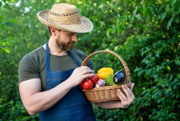 Αγροτικός Εργάτης Ψάθινο Καπέλο Καλάθι Γεμάτο Λαχανικά — Φωτογραφία Αρχείου