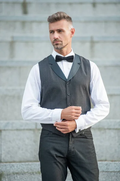 Rich Man Bowtie Grizzled Man Formalwear Tux Man Bridegroom — Stock Photo, Image