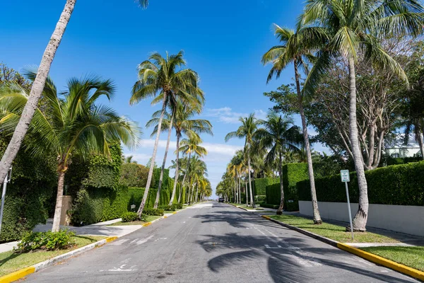 Leere Straße Mit Linienmarkierung Und Palmen Auf Allee — Stockfoto