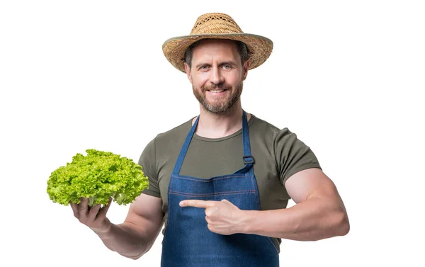 Człowiek Fartuchu Kapeluszu Warzywami Sałaty Izolowane Białym Palec Wskazujący — Zdjęcie stockowe