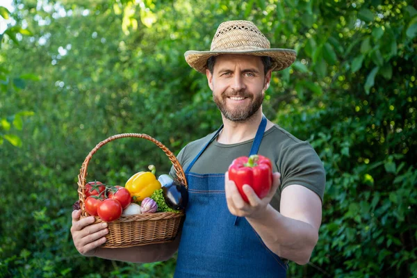 Man Met Strohoed Heeft Een Mand Vol Groenten Landbouw — Stockfoto