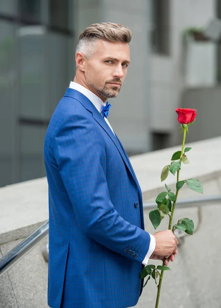 Concept Saint Valentin Tuxedo Hoary Homme Avec Des Valentines Rose — Photo