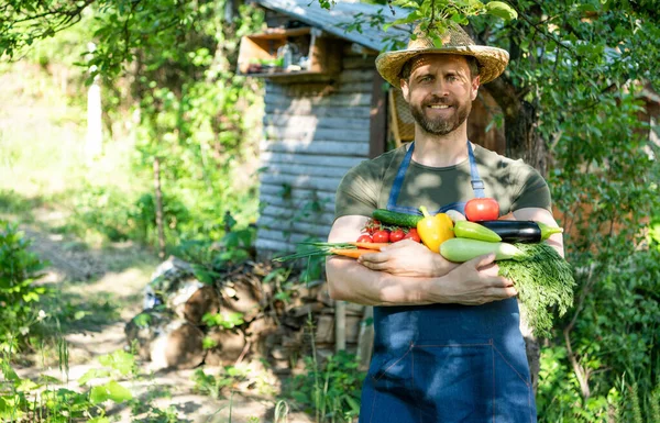 Hombre Sombrero Paja Mantenga Verduras Frescas Maduras Cultivo — Foto de Stock