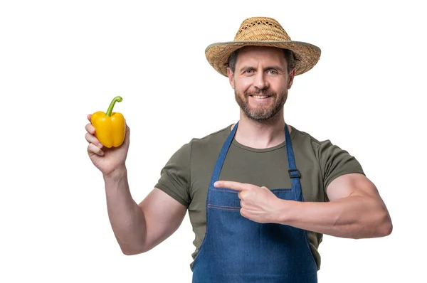 Człowiek Fartuchu Kapeluszu Warzywami Słodkiej Papryki Izolowane Białym Palec Wskazujący — Zdjęcie stockowe