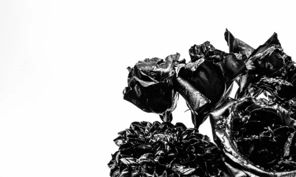 Schwarzer Strauß Verbrannter Natürlicher Blumen Isoliert Auf Weißem Kopierraum Rosen — Stockfoto