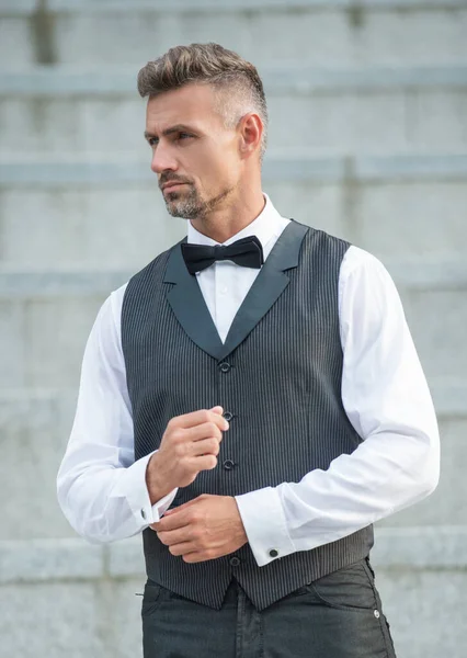 Charismatic Elegant Man Bowtie Grizzled Man Formalwear Tux Man Bridegroom — Stock Photo, Image