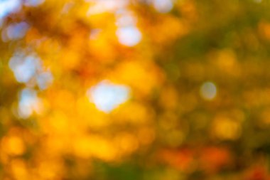 Bulanık parlak bir arka plan. Parlak bulanık arkaplan. Kimseyle parlak bulanık arkaplan.