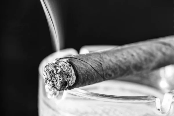 Zapalam Kubańskie Cygaro Ciemnym Tle Palenie Tytoniu Dym Tytoniowy Uzależnienie — Zdjęcie stockowe