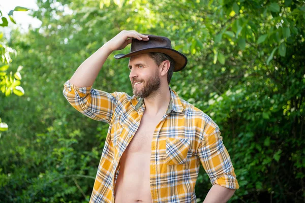 west man in cowboy hat. west male cowboy in checkered shirt. western cowboy wearing west hat.
