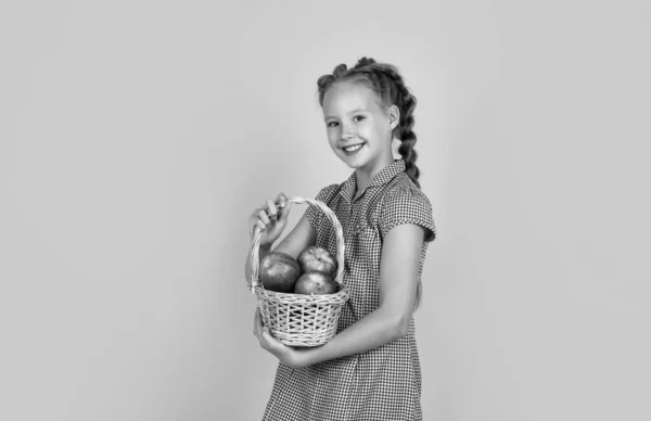 Ευτυχισμένο Κορίτσι Που Κρατάει Μήλα Από Τον Κήπο Παιδί Κρατά — Φωτογραφία Αρχείου