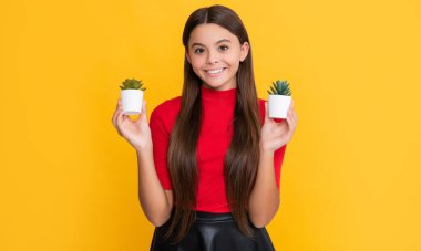 Sarı arka planda kaktüsü olan neşeli çocuk..