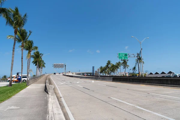 Route Pont Vide Été Avec Paumes Ciel Bleu — Photo