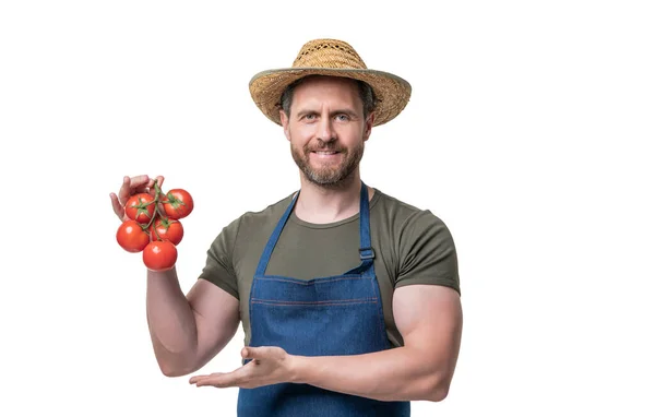 Człowiek Fartuchu Kapeluszu Prezentujący Pomidorowe Warzywa Izolowane Białym — Zdjęcie stockowe