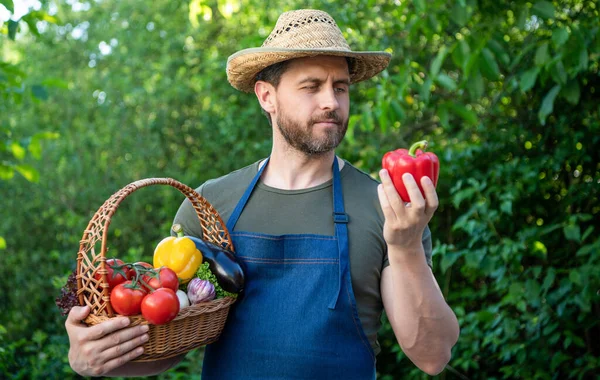 Człowiek Słomianym Kapeluszu Trzymać Koszyk Pełen Warzyw Ekologicznych — Zdjęcie stockowe