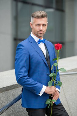 Sevgililer Günü konsepti. Sevgililer günü gülü olan zengin smokinli adam. Sevgililer Günü için çiçek hediyesi.