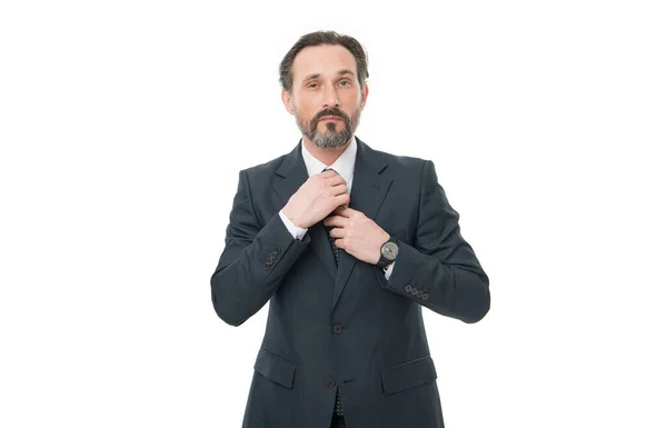 Serieux Grizzli Professionnel Homme Affaires Homme Affaires Avocat Fixation Cravate — Photo