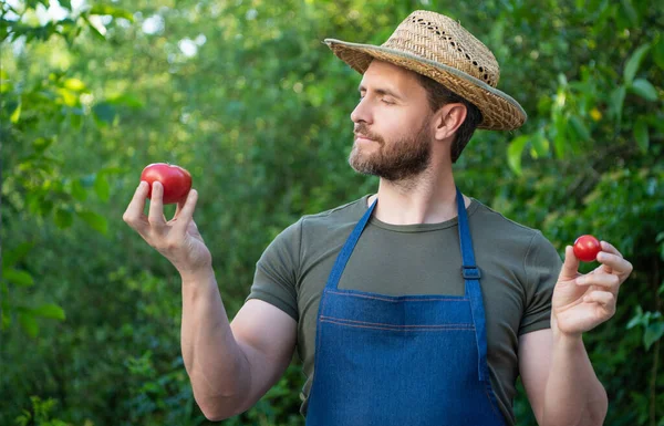 farmer villager in straw hat with tomato vegetable.