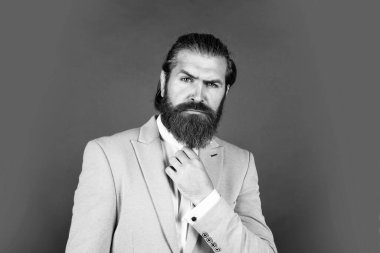 Olgun sakallı erkek adam zarif görünüyor..