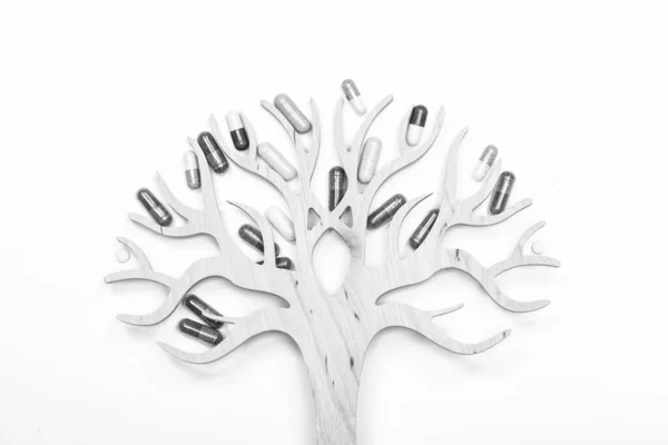 Strom Života Dřevěný Strom Zdobený Různými Pilulkami Lékařské Výrobky Léky — Stock fotografie