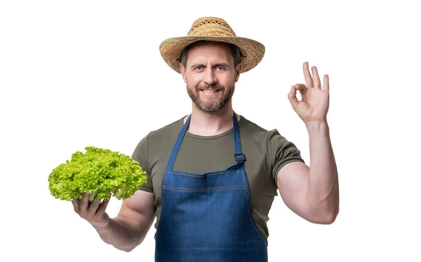 Człowiek Fartuchu Kapeluszu Warzywami Sałaty Izolowane Białym — Zdjęcie stockowe