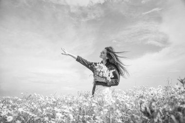 Mutlu kadın yaz mevsiminde papatya tarlasında çiçek toplar, kaygısız..