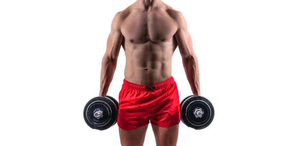 Weightlifting Sport Gym Man Weightlifting Sport Gym Isolated White Background — Stock Photo, Image