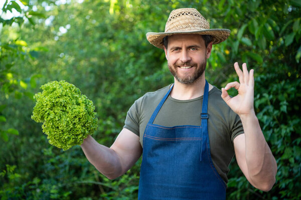 зеленщик в соломенной шляпе с листьями салата. ok.