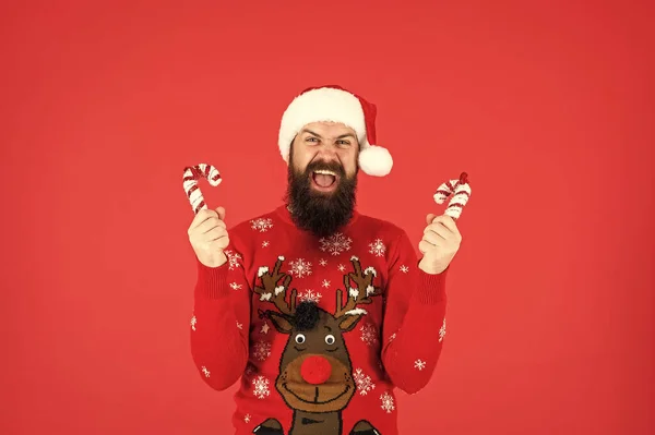 Schreiender Bärtiger Mann Mit Weihnachtsmann Hut Und Pullover Hält Zuckerstange — Stockfoto
