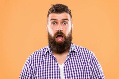 Her seferinde merak ediyorum. Sakallı hippi adam sarı arka planı yakından merak ediyor. Adam şaşırmış yüz ifadesi. Hipster duygusal şaşkınlık ifadesi. Rustik maço şaşırdı. Şaşırtıcı bir haber..