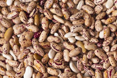 fasulye farklı renkler