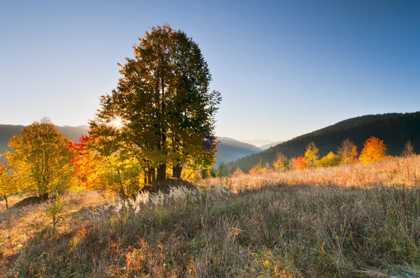 Herbstliche Landschaft Stockbild