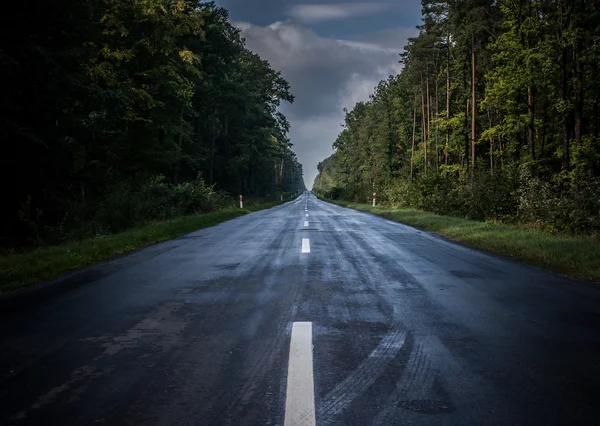 Ormanda yol