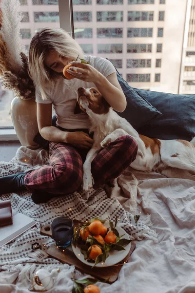 Mulher Cão Abraçam Cama Vibrações Aconchegantes Inverno Mandarins Luzes Livros Fotografia De Stock