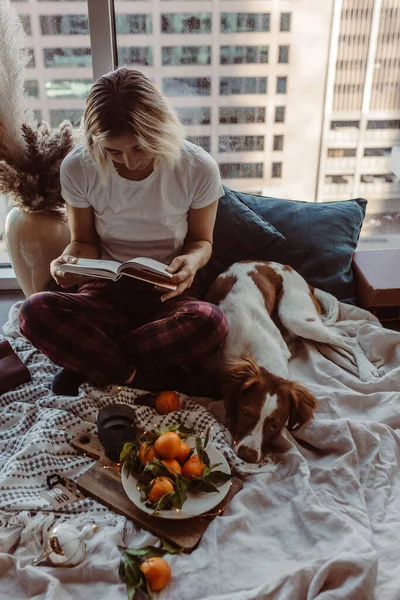 Mulher Cão Abraçam Cama Vibrações Aconchegantes Inverno Mandarins Luzes Livros Fotografias De Stock Royalty-Free