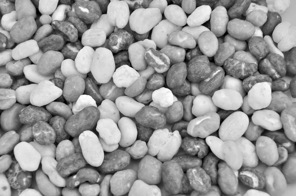Decorative pebbles — Stock Photo, Image