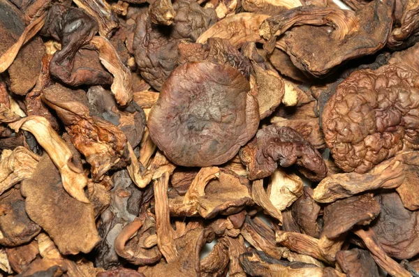 Сушеные грибы — стоковое фото