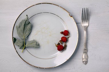 Kurumuş yapraklar ve böğürtlenlerle süslenmiş klasik beyaz tabak.