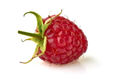 Olgun sulu ahududu sapı beyaz arka planda izole edilmiş.