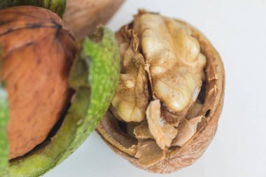 Gri beyaz arka plan makrosu üzerinde yarım ceviz.