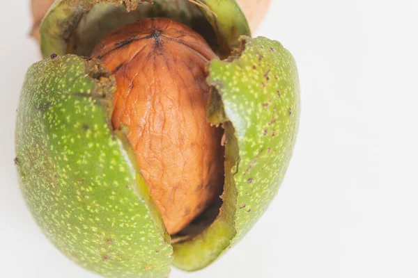Çatlamış yeşil kabuklu olgun ceviz, gri-beyaz arka planda makro.