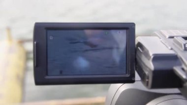 Bir kuğu, su yüzeyinden bir video kameranın ters ekran görüntüsüyle havalanır.