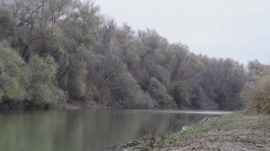 Sahilde sonbahar ağaçları olan nehir manzarası