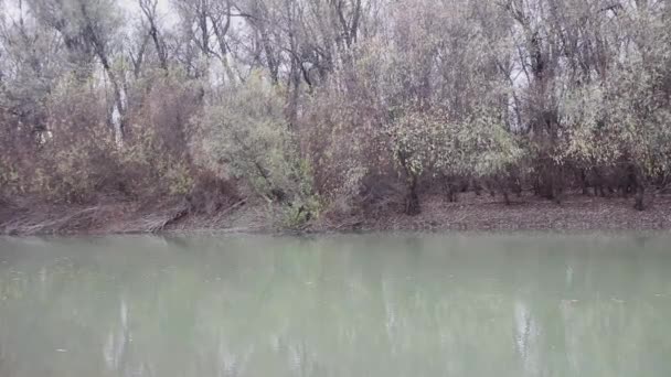 Fluss Mit Vielen Herbstbäumen Ufer — Stockvideo