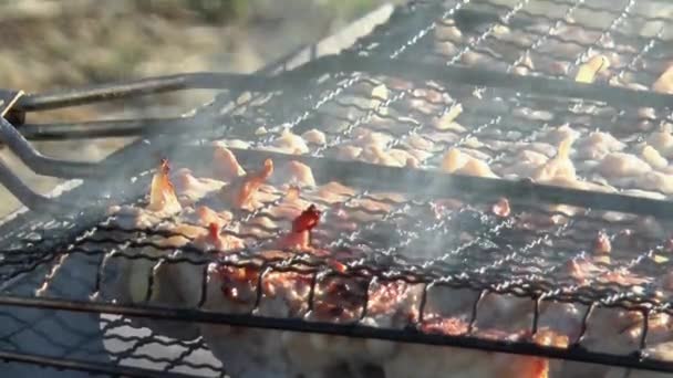 Espetos Carne Cozinhar Grelha Com Fumaça Perto — Vídeo de Stock