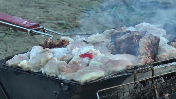 猪肉绞架在烤架上烤着烟 特写特写 — 图库视频影像
