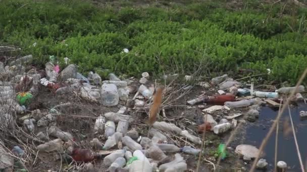 Beira Lago Cheio Lixo Garrafas Plástico — Vídeo de Stock